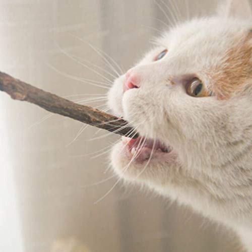 POPETPOP 5 peças de bastões de mastigar para gatos matatabi natural palitos de silvervina, ferrament