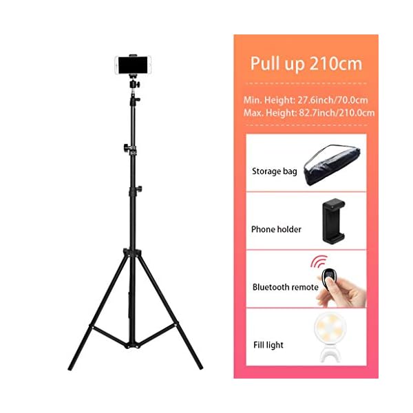 QIAOLI Videokamera-Stativ, Handy-Stativ, ausziehbares Selfie-Stick, Stativ mit Handy-Halterung und Tragetasche für… – Bild 3