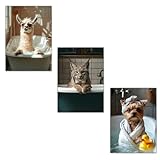 Nacnic Set Mit 3 Postern Wilde Tiere In Der Badewanne, 