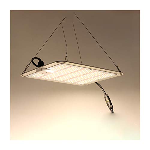 LED Lámpara de Crecimiento de Espectro Completo Similar al Sol Lámpara de Plantas Placa Cuántica Lampara de Cultivo 1000W Impermeable Grow Light para Flor Vegetales Jardín Hidropónica de Inter
