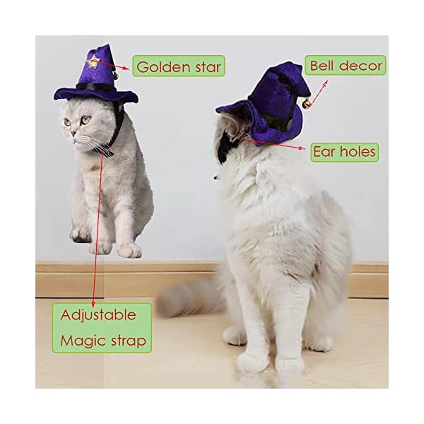 Aniac pet halloween costume adjustable magic witch hat with bell star decor for cats and small dogs purple - image 5