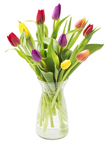 KaBloom Flowers - Valentine Collection - Assorted Tulip Bouquet from Holland (10 Stems) with Vase - Gift for Birthday, Anniversary, Thank You, Valentine, Mother’s Day Fresh Flowers