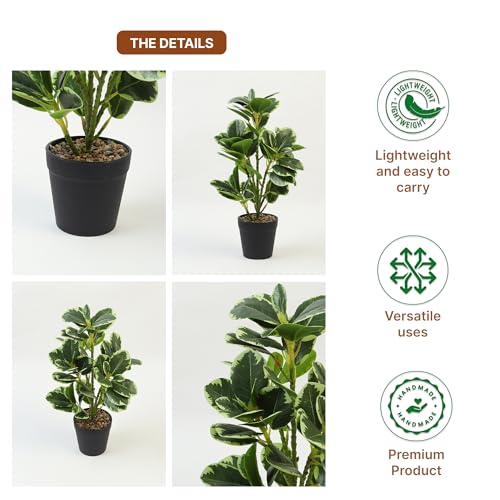 Image of Habere India-All the Cultures Fabricating India Artificial Plant with Pot for Home Decor | Fake Plants for Living Room Decoration | Artificial Plants for Decoration (Design 03; L22 x W17 X H38 cm)