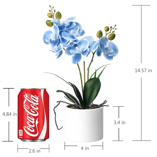 Jusdreen Artificial Blue Orchid in Ceramic Pot, Realistic Phalaenopsis Arrangement with Potting for Home Office Table Decor, 14.5 Inch Flower Centerpiece