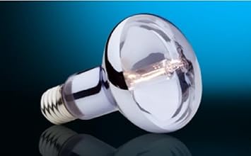 Exo Terra Sun Glo Halogen Basking Spot Lamp