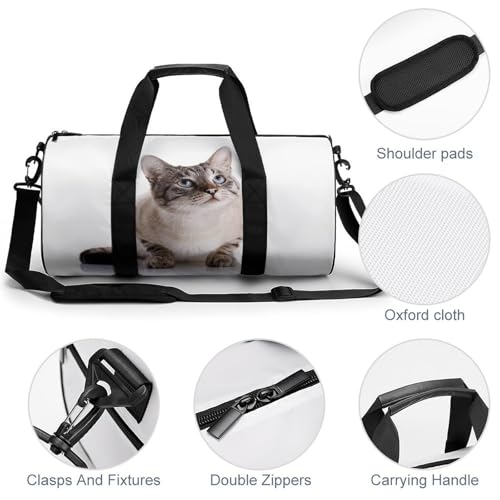 Sac de voyage Fat Cat idéal pour compartimenter la gym - 5