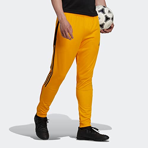 Adidas Men's Tiro 21 Track Pants, Team College Gold 2, Medium #TOP2