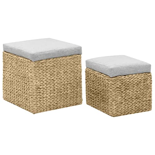 Repose-Pieds Jacinthe d'eau Rangement Pouf Coffre Salon Coussin Gris - 3