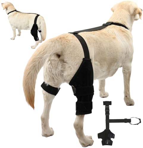 YENBOLOI Dog Knee Brace Dog ACL Brace Hind Leg Dog ACL Knee Brace with Extra Collar and Support Treats Kneecap Dislocation Arthritis