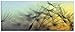 Produktbild ARTLAND Glasbilder Wandbild Glas Bild einteilig 125x50 cm Querformat Natur Blumen Pusteblume Sonnenuntergang Himmel Moderne Kunst T5XL