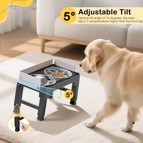 Euqvunn Hundenapf Erhöht, 6-stufig höhenverstellbar, 5° Neigung, Spritzschutz-Design, Futternapf Hund Erhöht mit Zwei 1000ml Edelstahl & Slow Feeder Hundenapf, für Kleine, Mittlere und Große Haustier