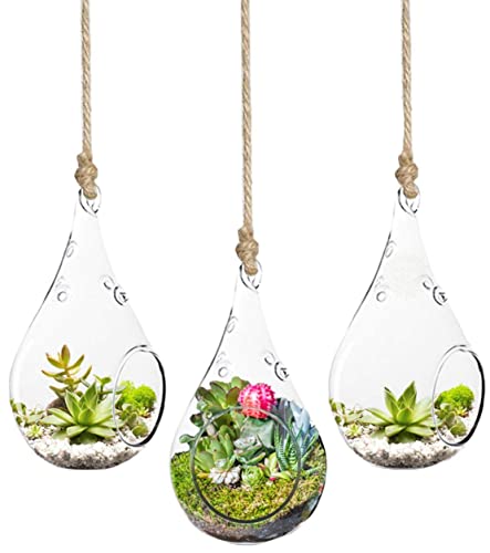SunGrow Air Plant Teardrop Hanging Terrarium
