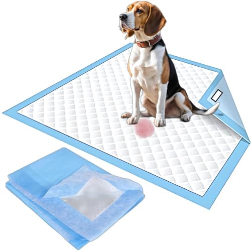 Noddy Pack of 50 Pee Pads for Pets, Training Pads with Leak-Proof and Super Absorbing Power, Liquid Lock System- 45 x 60 CM (Pack of 50, Magic of 5 Layers) Noddy Pack of 50 Pee Pads for Pets, Training Pads with Leak-Proof and Super Absorbing Power, Liquid Lock System- 45 x 60 CM (Pack of 50, Magic of 5 Layers)