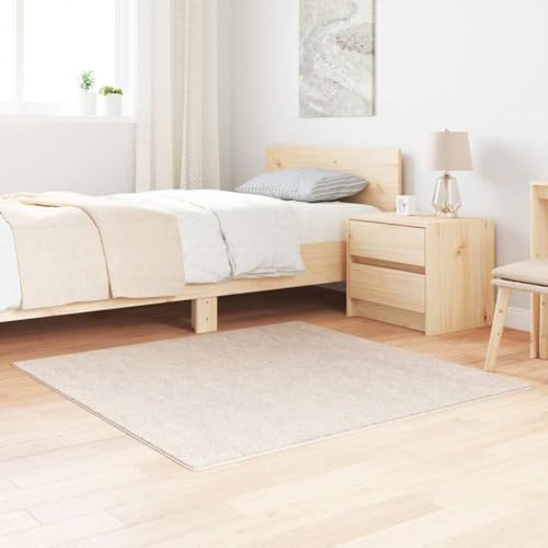 Alfombra shaggy antideslizante Augerlite con base de latex lavable cuadrada 2