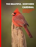 The Beautiful Northern Cardinal: Nature's Scarlet Jewel, Discovering the Beauty of the Northern Cardinal - A Gift Book for Alzheimer's Patients and ... Picture Book .... Relaxing & Meditation.