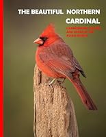 The Beautiful Northern Cardinal: Nature's Scarlet Jewel, Discovering the Beauty of the Northern Cardinal - A Gift Book for Alzheimer's Patients and ... Picture Book .... Relaxing & Meditation. B0CRR5V8FW Book Cover
