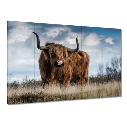 Toile vache Highland écossaise 100x70 cm pour grand salon style chalet moderne