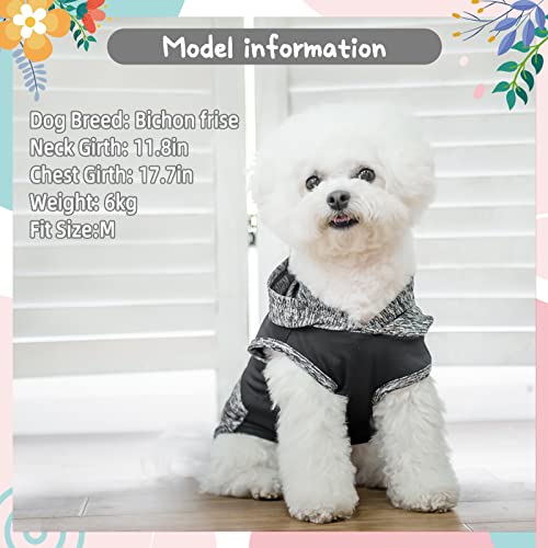 Fatcoolgoo Dog Shirt-Cooling Shirt For Dogs With Breathable Cationic Fabric,Dog Summer Shirt Puppy Clothes,Dog Outfit For Small Medium Large Dog Cat Girl Boy #TOP5