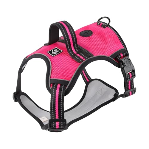 [Vailaipupy]n[lX htn[lX Xg[Wt ԈS݌v IbNXf ̉K SbN ʋC ԎU ?Op ^ ^ ^Ή S 蕨ɓK