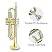WUQIMUSC Bb Trumpet for Beginners, Standard B Flat Trumpet with 7C Mouthpiece, Hard Case, Gloves & Cleaning Cloth, Student Brass Instrument (Golden)