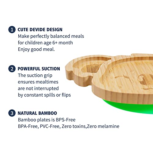 Qianliyer Bamboo Baby Plates With Suction - Natural Feeding Dishes For Babies And Toddlers, Perfect For Led Weaning, Non-Slip Design | Ideal Gifts For Kids (Green) #TOP2