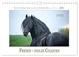 Friesen - stolze Giganten (Wandkalender 2023 DIN A4 quer), Calvendo Monatskalender