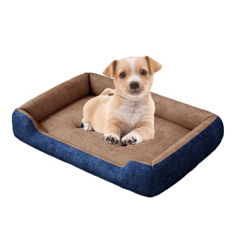 `OȗppxbhAN[gp[tH[pxbhAO\Ő􂦂Jo[Ɗ~ߒKȗpxbhALƌp,uE,M