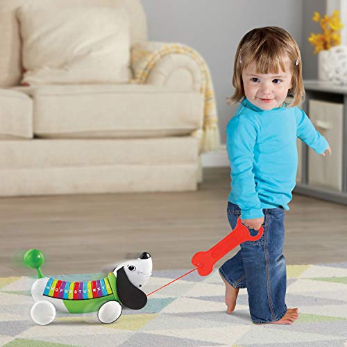 Image of LeapFrog AlphaPup (Frustration Free Packaging), Green