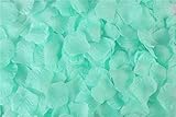 HLLbuy 2000 PCS Light Teal Artificial Flower Petals Silk Rose Flower Petals for Wedding Party and...