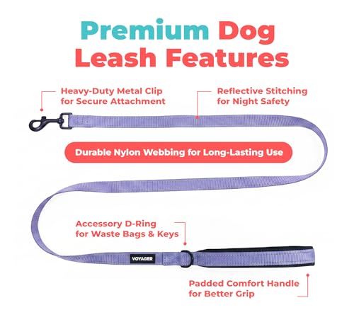 Image of Best Pet Supplies Voyager Reflective Dog Leash or Collar with Neoprene Handle, for Small, Medium, and Large Breed Puppies, Cute and Heavy Duty for Walking, Running and Training - Lavender (Leash), M