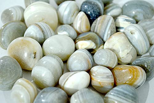 Image of Natural Banded Pebbles Stones for Decoration, Plants Pots, Table Decor, Home Decor (900 Grams, Natural Banded)