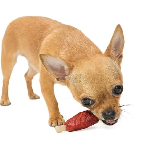 ANIMALUJOS - Snack natural para cães e gatos em forma de costelas pequenas de frango | 50 unidades | golosinas saudáveis e deliciosas | Prémio natural para animais de estimação