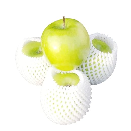 100PCS Foam Net Sleeve Set