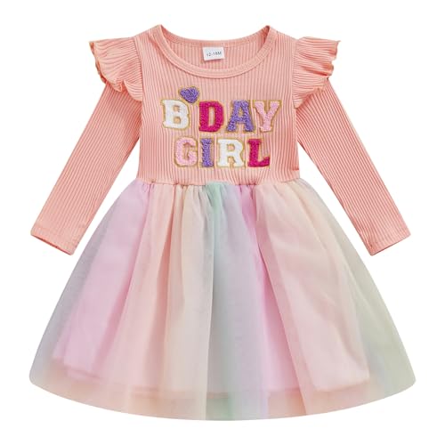 Toddler Baby Girl Birthday Dress Birthday Girl Embroidery Ruffle Sleeve Tulle Dresses Cute Cake Smash Tutu Outfits