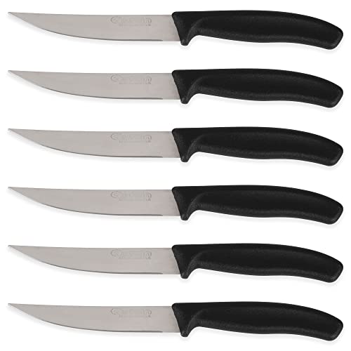 Set di coltelli Quttin nero (6 pz)