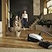 Miele Classic C1 Cat & Dog Bagged Canister Vacuum, Lotus White - Pet Hair, Portable