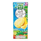 カゴメ 野菜生活100 宮崎月夜実グレープフルーツ&日向夏ミックス 195ml紙パック×24本（季節限定品 砂糖不使用 ビタミンC）