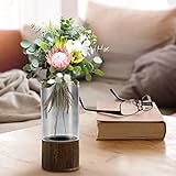 precio florero cristal cortado bohemia ✿【ALTA CALIDAD Y ELEGANTE JARRÓN】Este jarrón grande es Florero De Vidrio, duradero, a prueba de fugas, y fácil de limpiar perfecto para el escritorio de la oficina, y la decoración de la oficina.