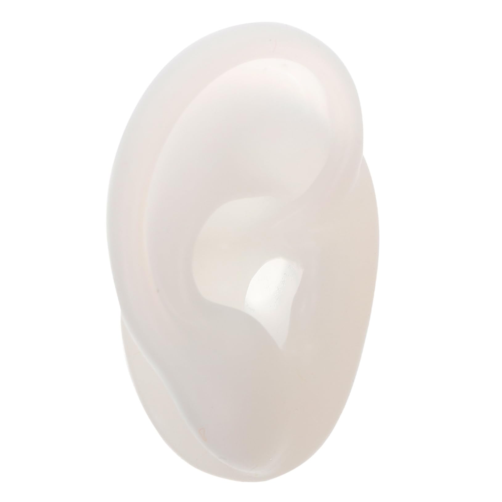 Beavorty Piercing Teaching Ear Fake Smooth Texture Ideal for Medical School Demonstrations
