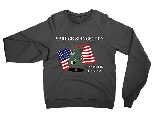Pull de Noël Spruce Springsteen : coton premium et look vintage