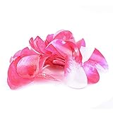 Crystal Candy Cerise-Pink-&-White Edible Petals - Colorful Edible Flowers Petal for Cakes, Cupcakes, and Cake Decorations - Suitable for All Cakes and Baked Goods - 1 Jar of 6 Grams, 40 Petals