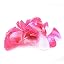 Cerise Pink/White
