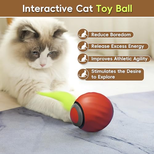 Petrendy Speedy Tail Cat Toy 2.0, brinquedo interativo para gatos internos entediados, bola de brinq