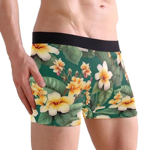 Hawaiian Tropical Flower Men's Boxer Briefs S 202a29044
