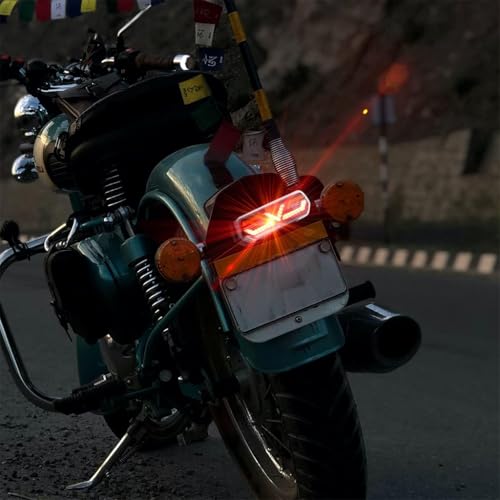 Image of STHIRA 6'' LED Motorcycle Tail Light, 12V Wired Rear Brake and Turn Signal Light, Waterproof Riding Warning Light for Motorcycle Modification and Safety
