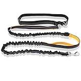 BELLA & BALU | L - Für große Hunde Joggingleine mit verstellbarem Taillengurt – Elastische und reflektierende Hundeleine zum freihändigen Joggen, Walken, Spazieren oder Radfahren