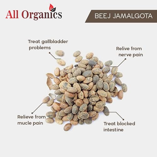 All Organics Jamalgota Powder 50 gm for hair Croton Seed | Croton Tiglium Seed | Make Paste