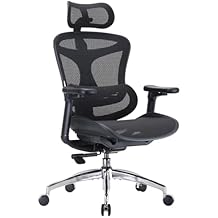 SIHOO Ergonomic Chair with Dynamic Lumbar Support