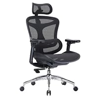 SIHOO Doro C300 Sedia Ufficio Ergonómica, Supporto Lombare Dinamico, Nero
