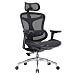 Sihoo Doro C300 product photo